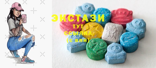 ECSTASY Богданович